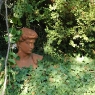 Terracotta-Kopf im Garten von Poggio Ventoso - Foto © Maibritt Olsen