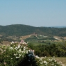 Blick vom Romitorio auf das Weingut 'Rothschild' – Foto © Maibritt Olsen