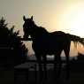 Abend auf dem Poggio Ventoso – Foto © Maibritt Olsen