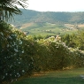 Der Garten des Ferienhauses 'Podere Romitorio' auf dem 'Poggio Ventoso' - Foto © Maibritt Olsen