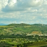 Blick auf den 'Poggio Ventoso' - Foto © Maibritt Olsen